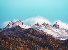 开云体育官网-邓亚萍：为什么从一位体育明星，变成公益明星？