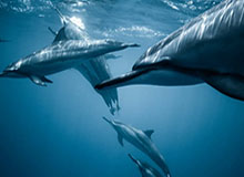 开云体育APP下载-男单短节目排名11 金博洋：对得起这四年的努力